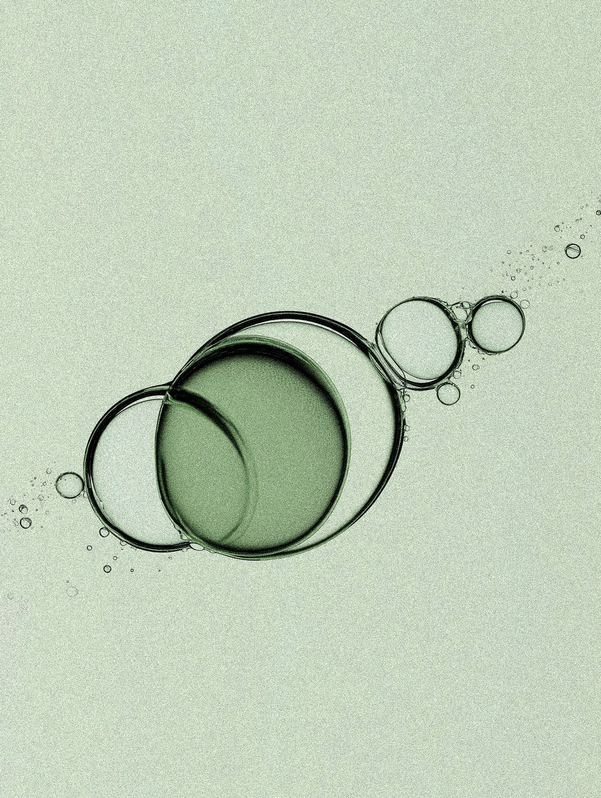 soil-3.jpg