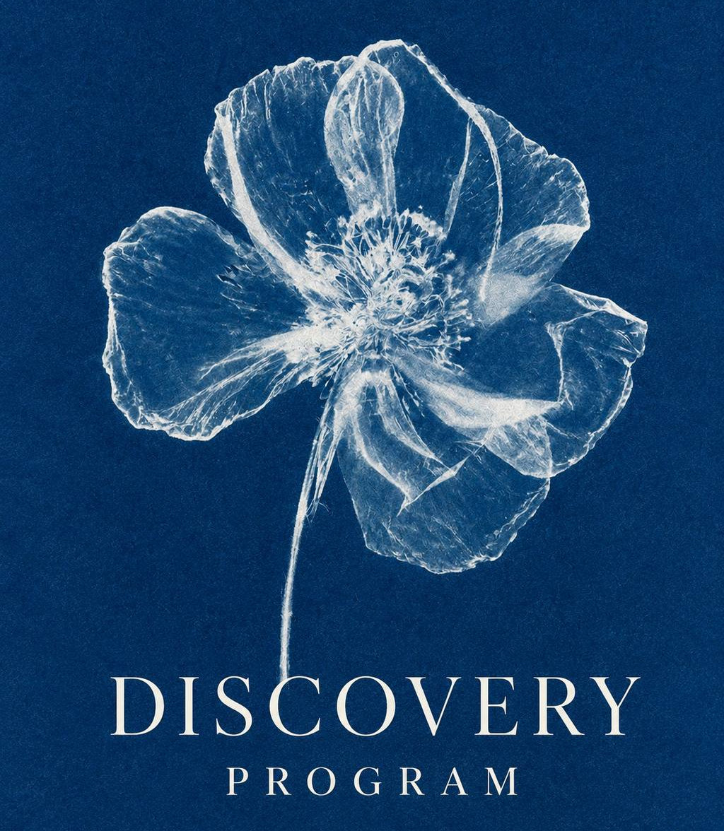 Journey Education // Discovery